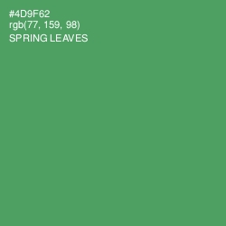 #4D9F62 - Spring Leaves Color Image