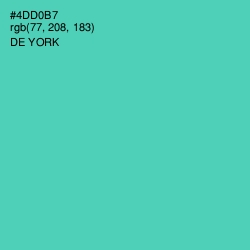 #4DD0B7 - De York Color Image