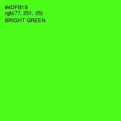 #4DFB19 - Bright Green Color Image