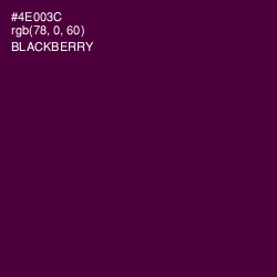 #4E003C - Blackberry Color Image