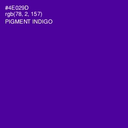 #4E029D - Pigment Indigo Color Image
