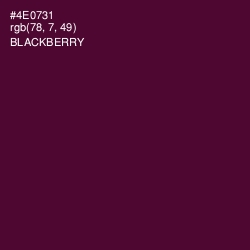 #4E0731 - Blackberry Color Image