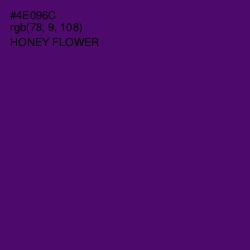 #4E096C - Honey Flower Color Image