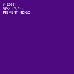 #4E0981 - Pigment Indigo Color Image