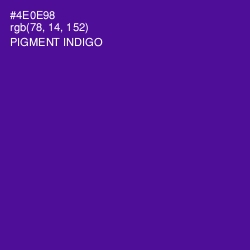 #4E0E98 - Pigment Indigo Color Image