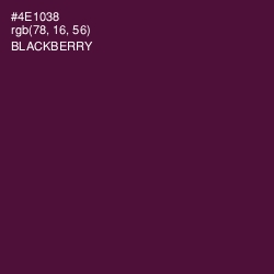 #4E1038 - Blackberry Color Image