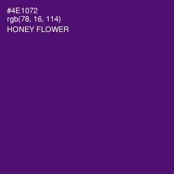 #4E1072 - Honey Flower Color Image
