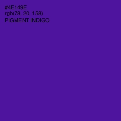 #4E149E - Pigment Indigo Color Image