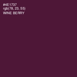#4E1737 - Wine Berry Color Image