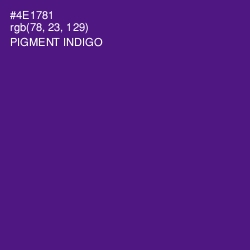 #4E1781 - Pigment Indigo Color Image