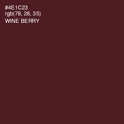 #4E1C23 - Wine Berry Color Image