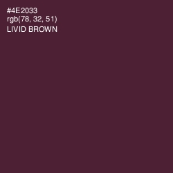 #4E2033 - Livid Brown Color Image