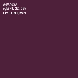 #4E203A - Livid Brown Color Image