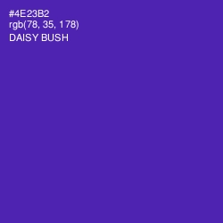 #4E23B2 - Daisy Bush Color Image