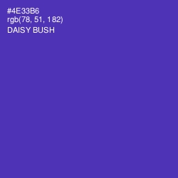 #4E33B6 - Daisy Bush Color Image