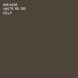 #4E443A - Kelp Color Image