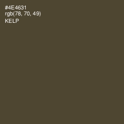 #4E4631 - Kelp Color Image
