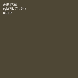 #4E4736 - Kelp Color Image