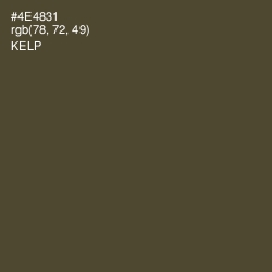 #4E4831 - Kelp Color Image