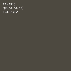 #4E4940 - Tundora Color Image