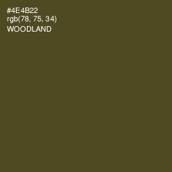 #4E4B22 - Woodland Color Image