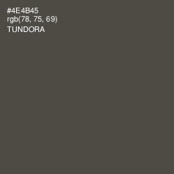 #4E4B45 - Tundora Color Image