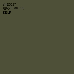 #4E5037 - Kelp Color Image