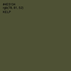 #4E5134 - Kelp Color Image
