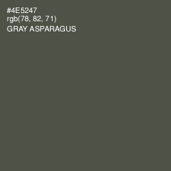#4E5247 - Gray Asparagus Color Image