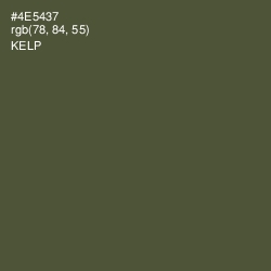 #4E5437 - Kelp Color Image