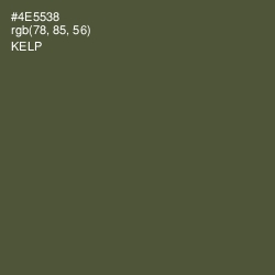 #4E5538 - Kelp Color Image