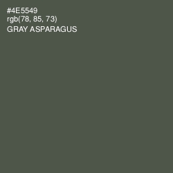 #4E5549 - Gray Asparagus Color Image