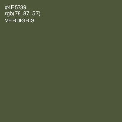#4E5739 - Verdigris Color Image