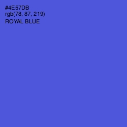 #4E57DB - Royal Blue Color Image