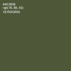 #4E5838 - Verdigris Color Image