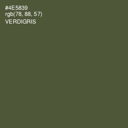 #4E5839 - Verdigris Color Image