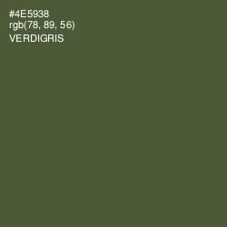 #4E5938 - Verdigris Color Image