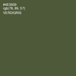 #4E5939 - Verdigris Color Image