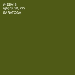 #4E5A16 - Saratoga Color Image