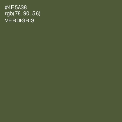 #4E5A38 - Verdigris Color Image