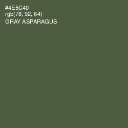 #4E5C40 - Gray Asparagus Color Image