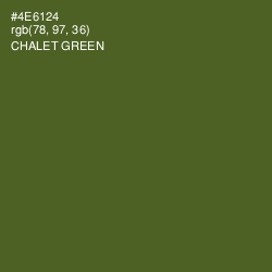 #4E6124 - Chalet Green Color Image