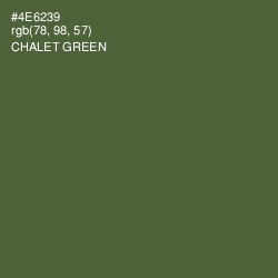 #4E6239 - Chalet Green Color Image