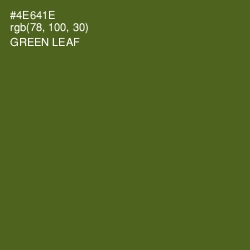 #4E641E - Green Leaf Color Image