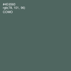 #4E6560 - Como Color Image