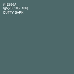 #4E696A - Cutty Sark Color Image