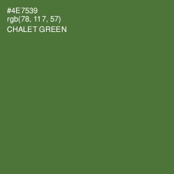 #4E7539 - Chalet Green Color Image