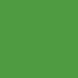 #4E9B42 - Hippie Green Color Image