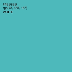 #4EB9BB - Fountain Blue Color Image