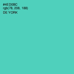 #4ED0BC - De York Color Image